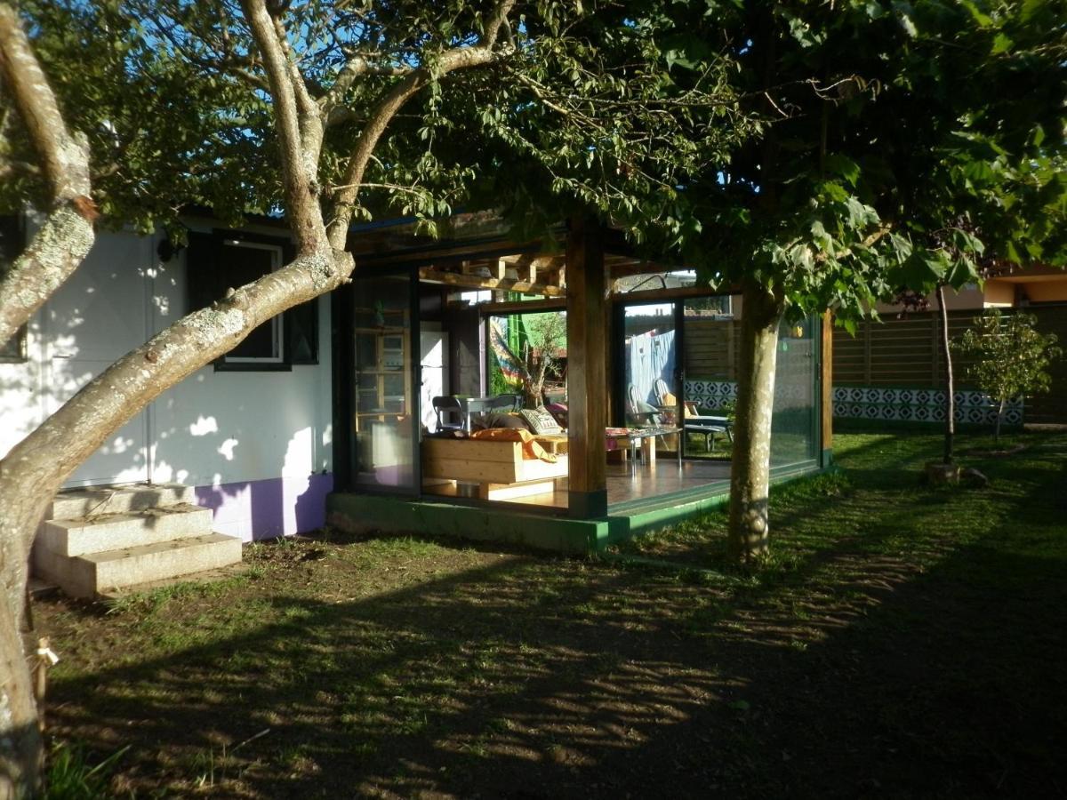 Cabana Rustica En Plena Naturaleza En Playa De Nerga, Ria De Vigo, Hio Extérieur photo